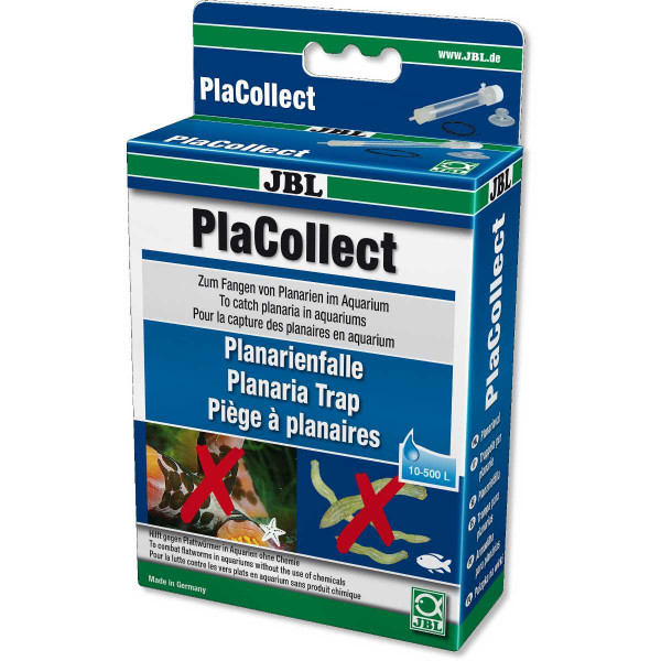 JBL PlaCollect Planarienfalle gegen Plattwürmer